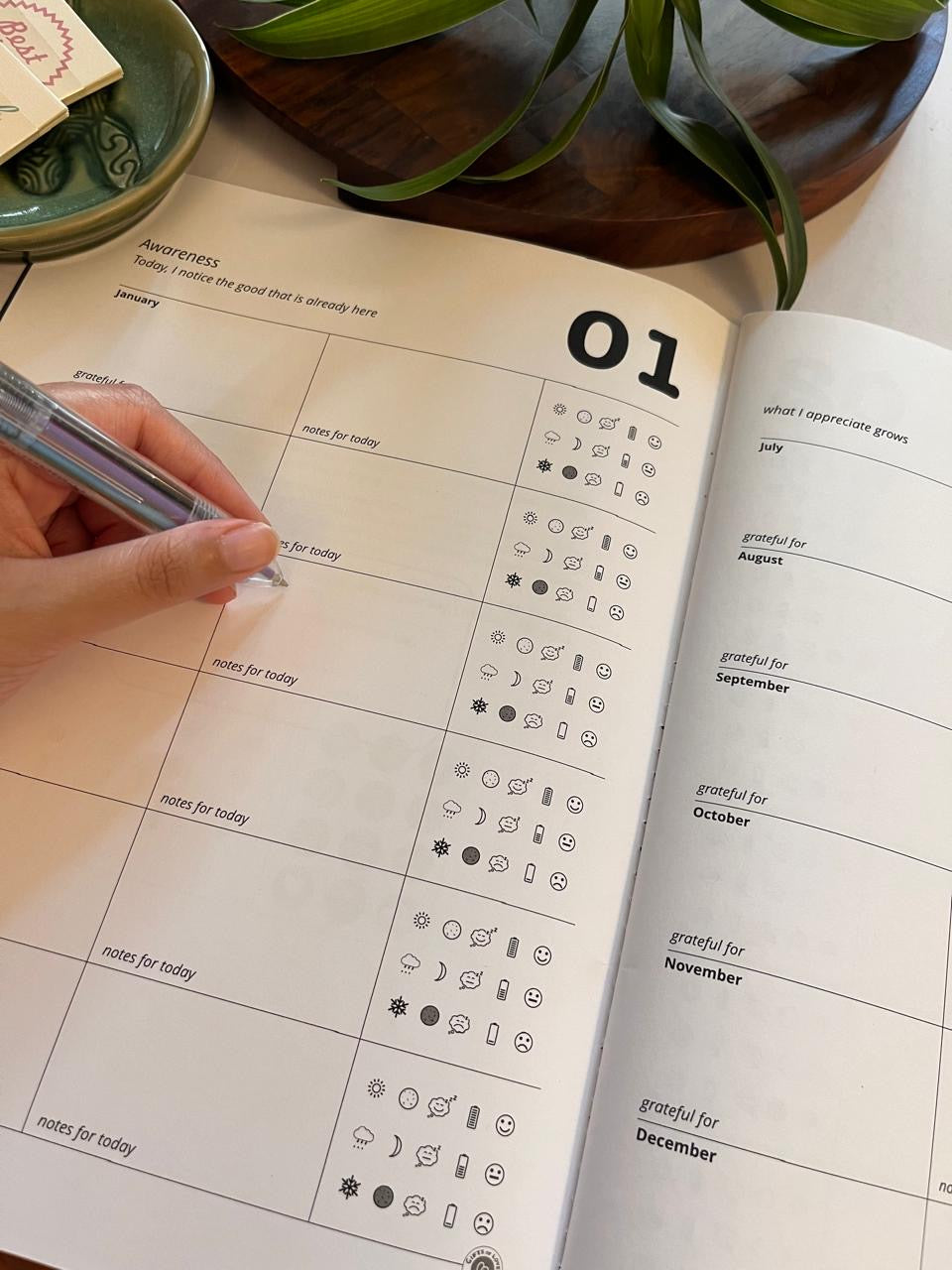 The ODD Log Gratitude Journal Gift Set