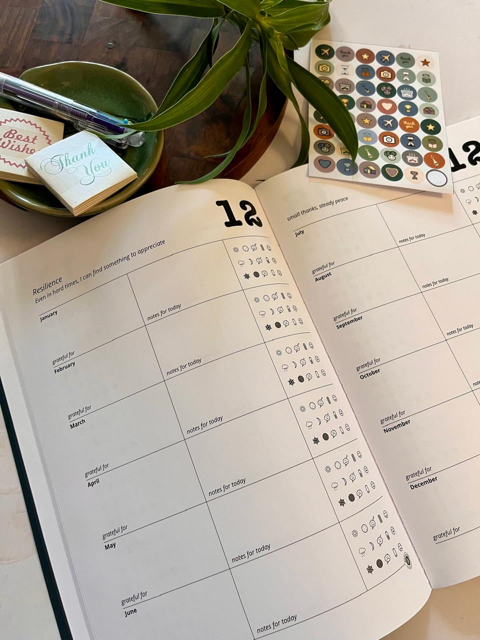 The ODD Log Gratitude Journal Gift Set