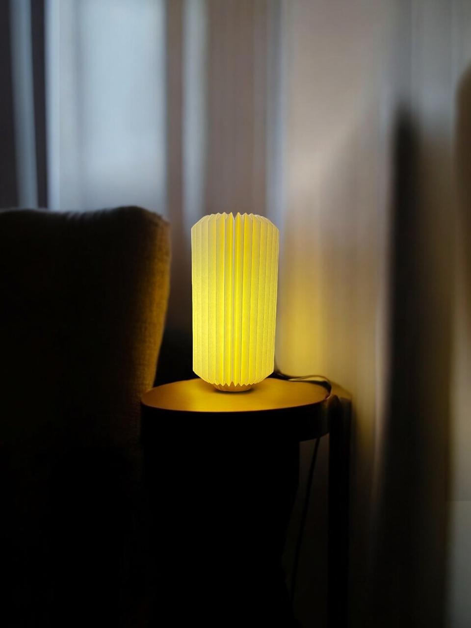 Enoki & Oyster Lamps