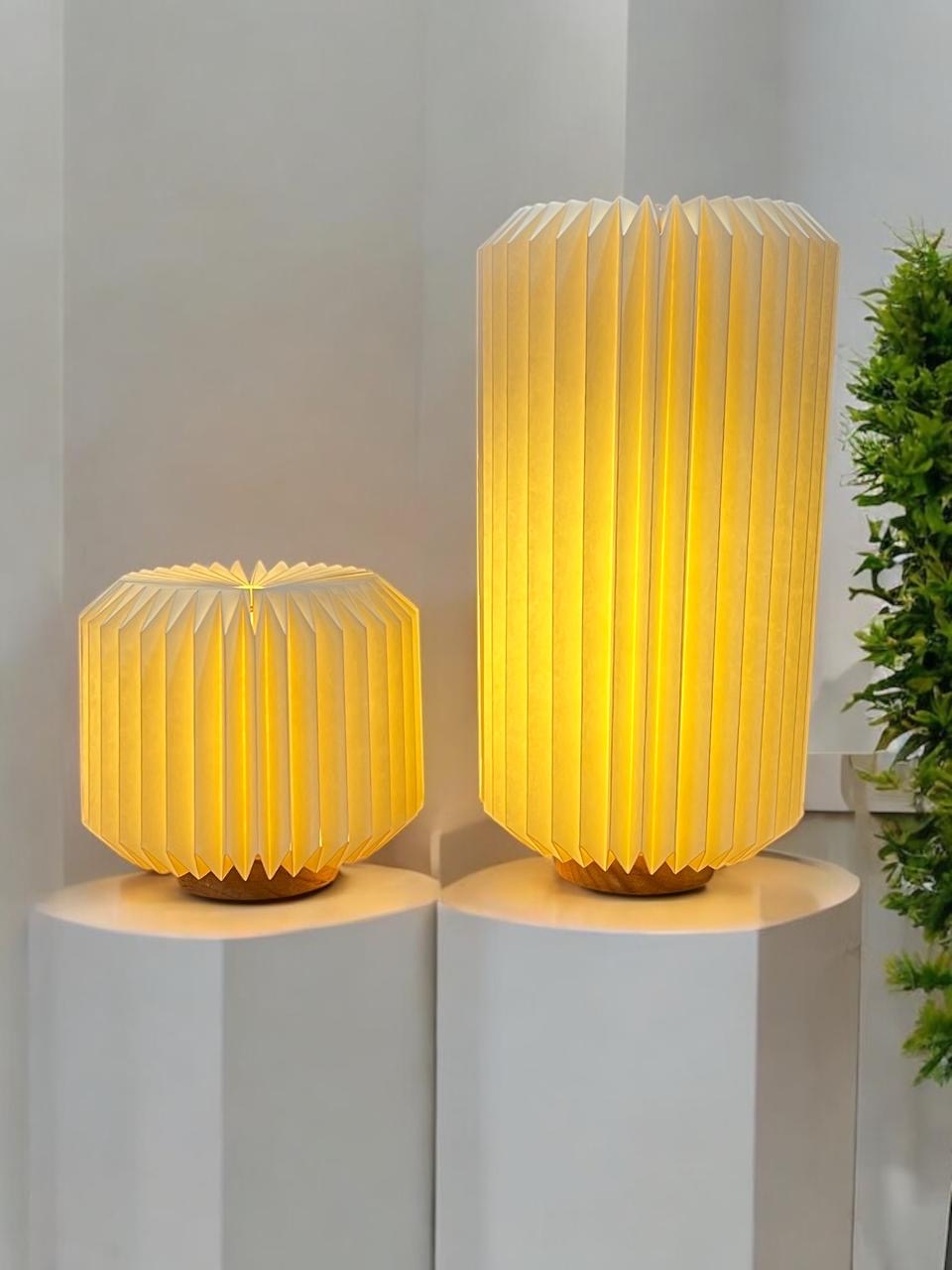 Enoki & Oyster Lamps