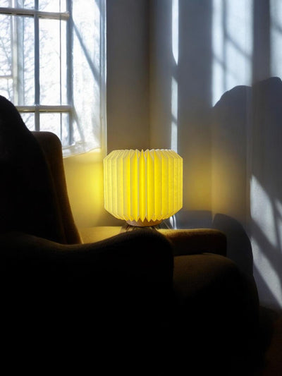Enoki & Oyster Lamps