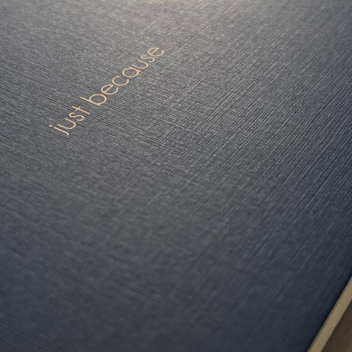 Textured paper with ‘just because’ screen printed on the cover. 